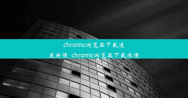 chrome浏览器下载速度特慢_chrome浏览器下载很慢