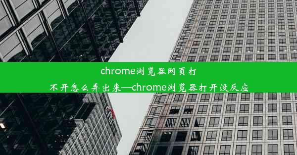 chrome浏览器网页打不开怎么弄出来—chrome浏览器打开没反应