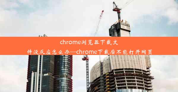 chrome浏览器下载文件没反应怎么办—chrome下载后不能打开网页