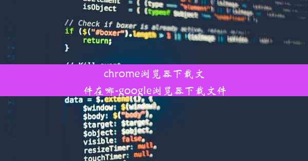 chrome浏览器下载文件在哪-google浏览器下载文件