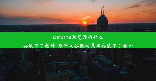 chrome浏览器为什么安装不了插件-为什么谷歌浏览器安装不了插件