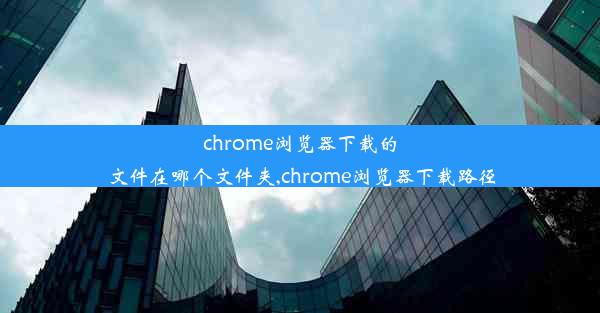 chrome浏览器下载的文件在哪个文件夹,chrome浏览器下载路径