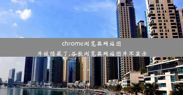 chrome浏览器网站图片被隐藏了,谷歌浏览器网站图片不显示