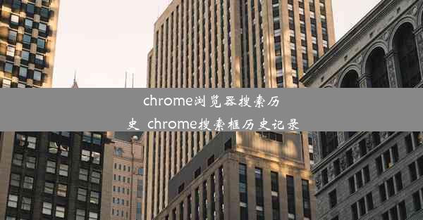 chrome浏览器搜索历史_chrome搜索框历史记录