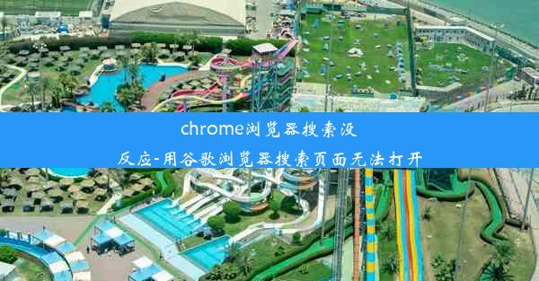 chrome浏览器搜索没反应-用谷歌浏览器搜索页面无法打开