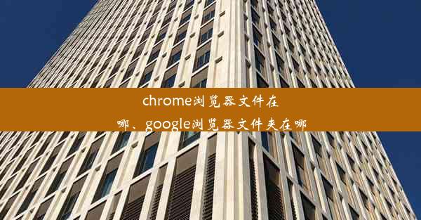 chrome浏览器文件在哪、google浏览器文件夹在哪