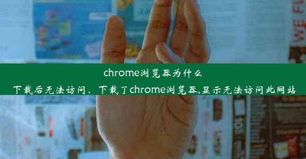 chrome浏览器为什么下载后无法访问、下载了chrome浏览器,显示无法访问此网站