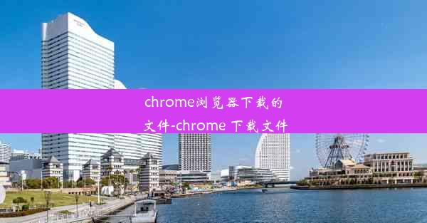 chrome浏览器下载的文件-chrome 下载文件