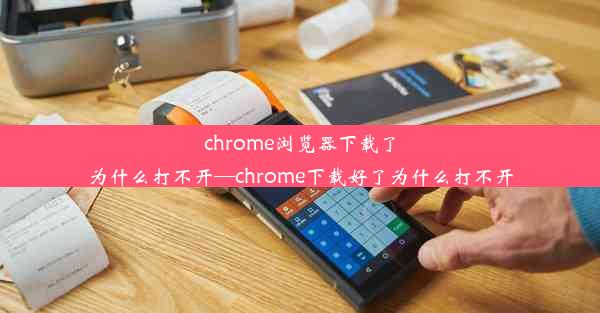 chrome浏览器下载了为什么打不开—chrome下载好了为什么打不开