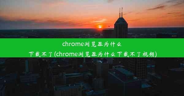 chrome浏览器为什么下载不了(chrome浏览器为什么下载不了视频)