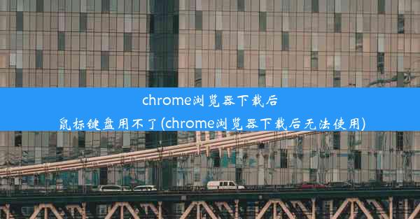 chrome浏览器下载后鼠标键盘用不了(chrome浏览器下载后无法使用)