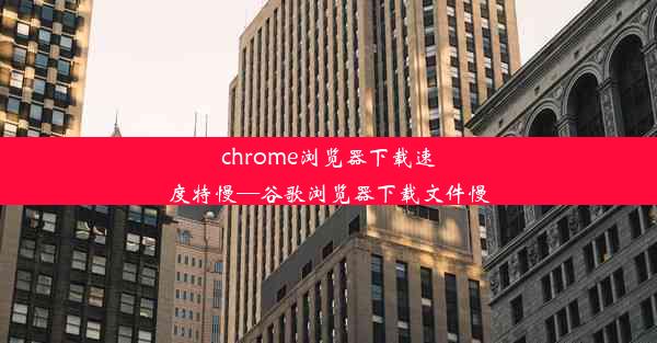 chrome浏览器下载速度特慢—谷歌浏览器下载文件慢