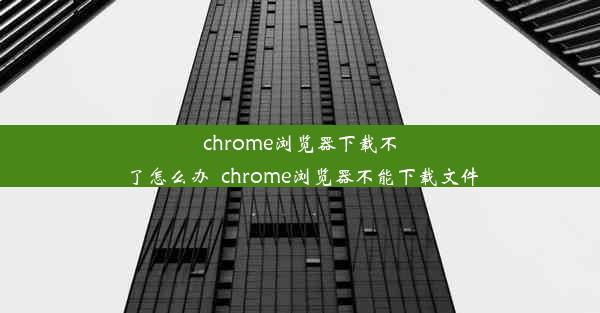 chrome浏览器下载不了怎么办_chrome浏览器不能下载文件