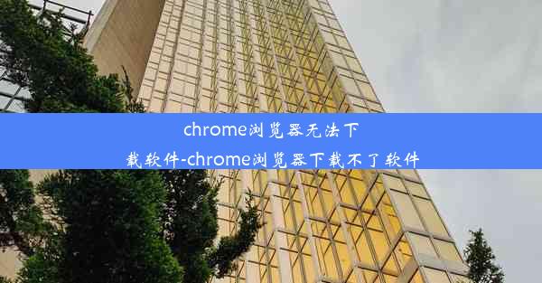 chrome浏览器无法下载软件-chrome浏览器下载不了软件