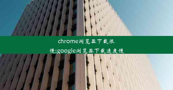 chrome浏览器下载很慢;google浏览器下载速度慢