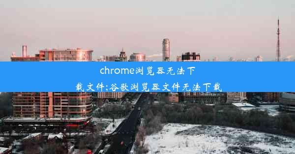 chrome浏览器无法下载文件;谷歌浏览器文件无法下载