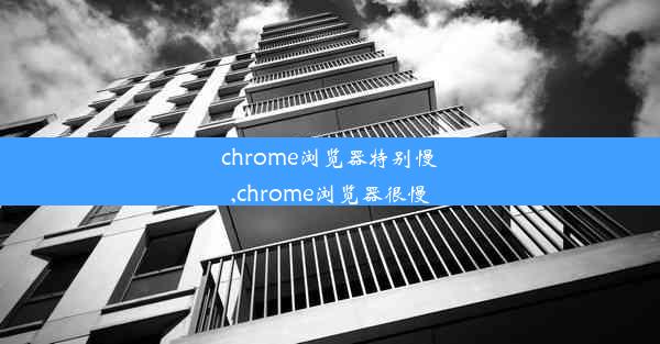 chrome浏览器特别慢,chrome浏览器很慢