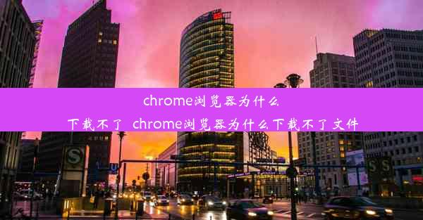 chrome浏览器为什么下载不了_chrome浏览器为什么下载不了文件