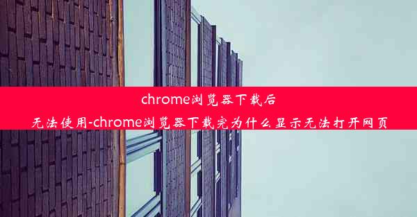 chrome浏览器下载后无法使用-chrome浏览器下载完为什么显示无法打开网页