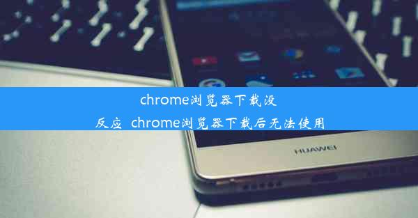 chrome浏览器下载没反应_chrome浏览器下载后无法使用