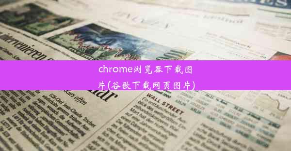 chrome浏览器下载图片(谷歌下载网页图片)