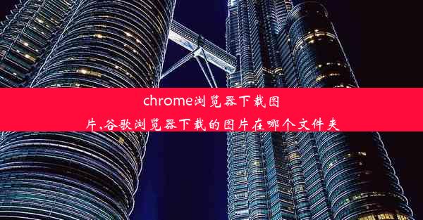 chrome浏览器下载图片,谷歌浏览器下载的图片在哪个文件夹