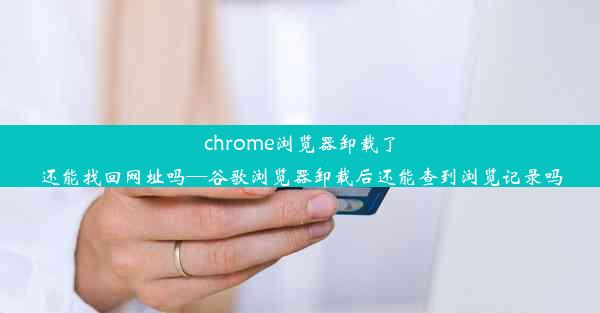 chrome浏览器卸载了还能找回网址吗—谷歌浏览器卸载后还能查到浏览记录吗