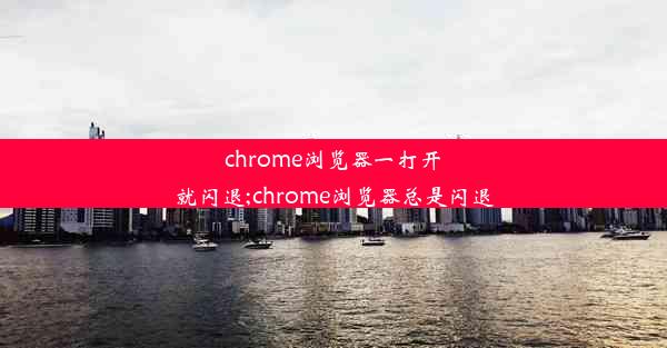 chrome浏览器一打开就闪退;chrome浏览器总是闪退