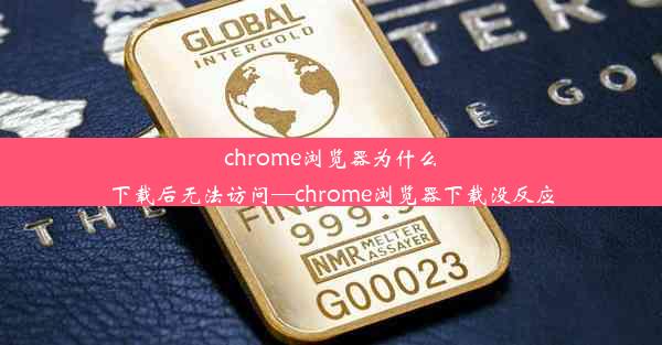 chrome浏览器为什么下载后无法访问—chrome浏览器下载没反应