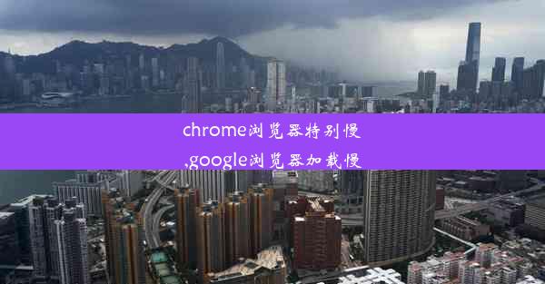 chrome浏览器特别慢,google浏览器加载慢