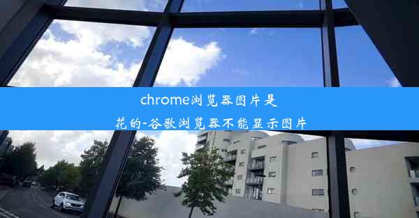 chrome浏览器图片是花的-谷歌浏览器不能显示图片