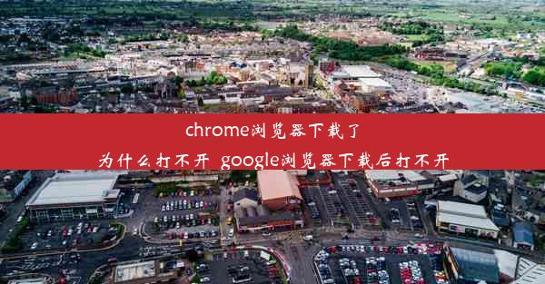 chrome浏览器下载了为什么打不开_google浏览器下载后打不开