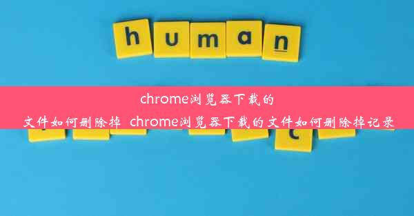 chrome浏览器下载的文件如何删除掉_chrome浏览器下载的文件如何删除掉记录