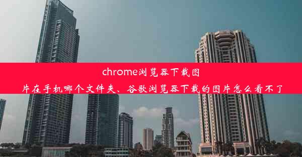 chrome浏览器下载图片在手机哪个文件夹、谷歌浏览器下载的图片怎么看不了