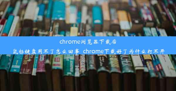 chrome浏览器下载后鼠标键盘用不了怎么回事_chrome下载好了为什么打不开