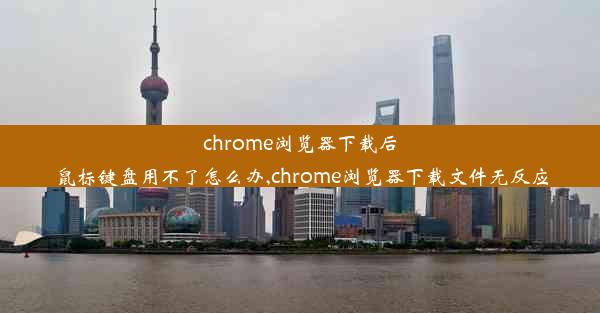 chrome浏览器下载后鼠标键盘用不了怎么办,chrome浏览器下载文件无反应