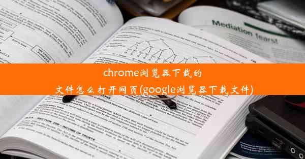 chrome浏览器下载的文件怎么打开网页(google浏览器下载文件)