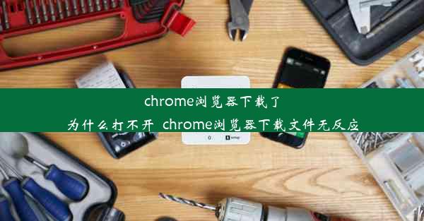 chrome浏览器下载了为什么打不开_chrome浏览器下载文件无反应