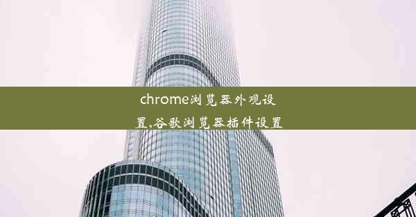 chrome浏览器外观设置,谷歌浏览器插件设置