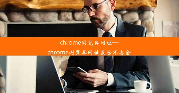 chrome浏览器网址—chrome浏览器网址显示不安全