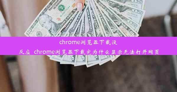 chrome浏览器下载没反应_chrome浏览器下载完为什么显示无法打开网页