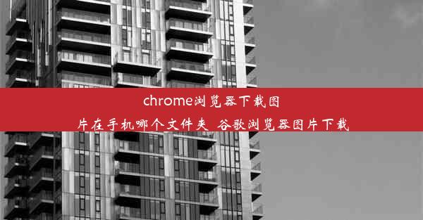 chrome浏览器下载图片在手机哪个文件夹_谷歌浏览器图片下载