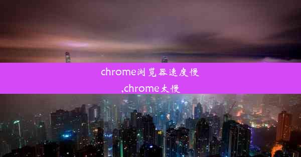 chrome浏览器速度慢,chrome太慢