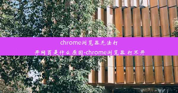 chrome浏览器无法打开网页是什么原因-chrome浏览器 打不开