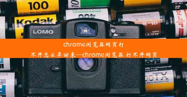 chrome浏览器网页打不开怎么弄回来—chrome浏览器 打不开网页