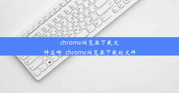 chrome浏览器下载文件在哪_chrome浏览器下载的文件