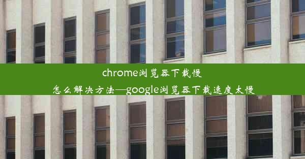 chrome浏览器下载慢怎么解决方法—google浏览器下载速度太慢