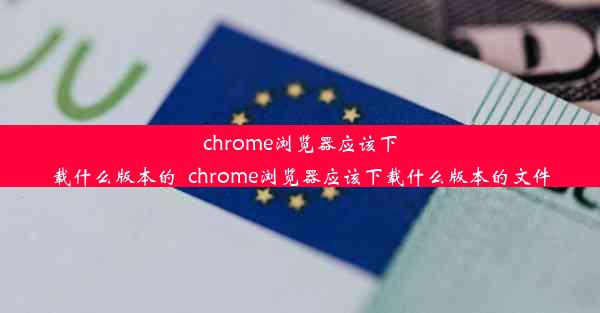 chrome浏览器应该下载什么版本的_chrome浏览器应该下载什么版本的文件