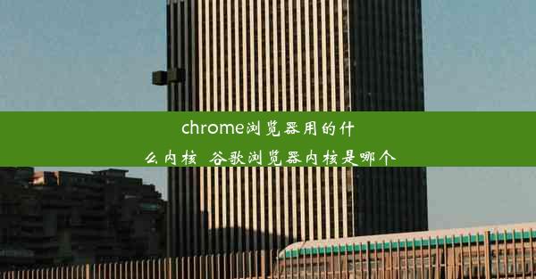 chrome浏览器用的什么内核_谷歌浏览器内核是哪个