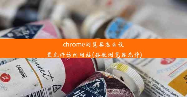 chrome浏览器怎么设置允许访问网站(谷歌浏览器允许)